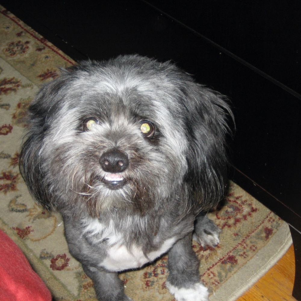 Meet your Posher, Shellee`